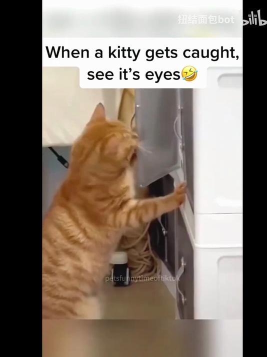 九月精选,量大管饱