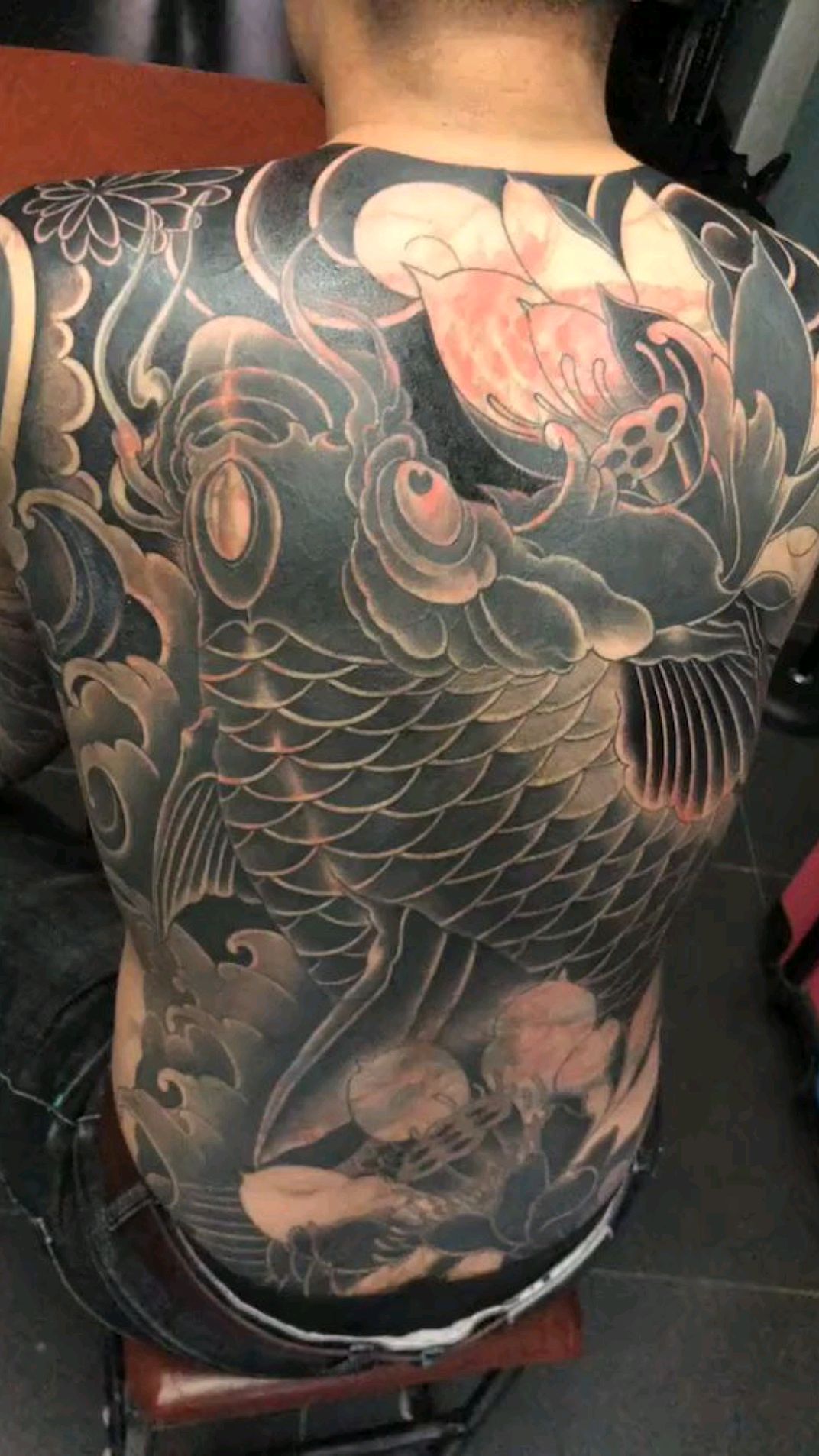 满背大鲤鱼