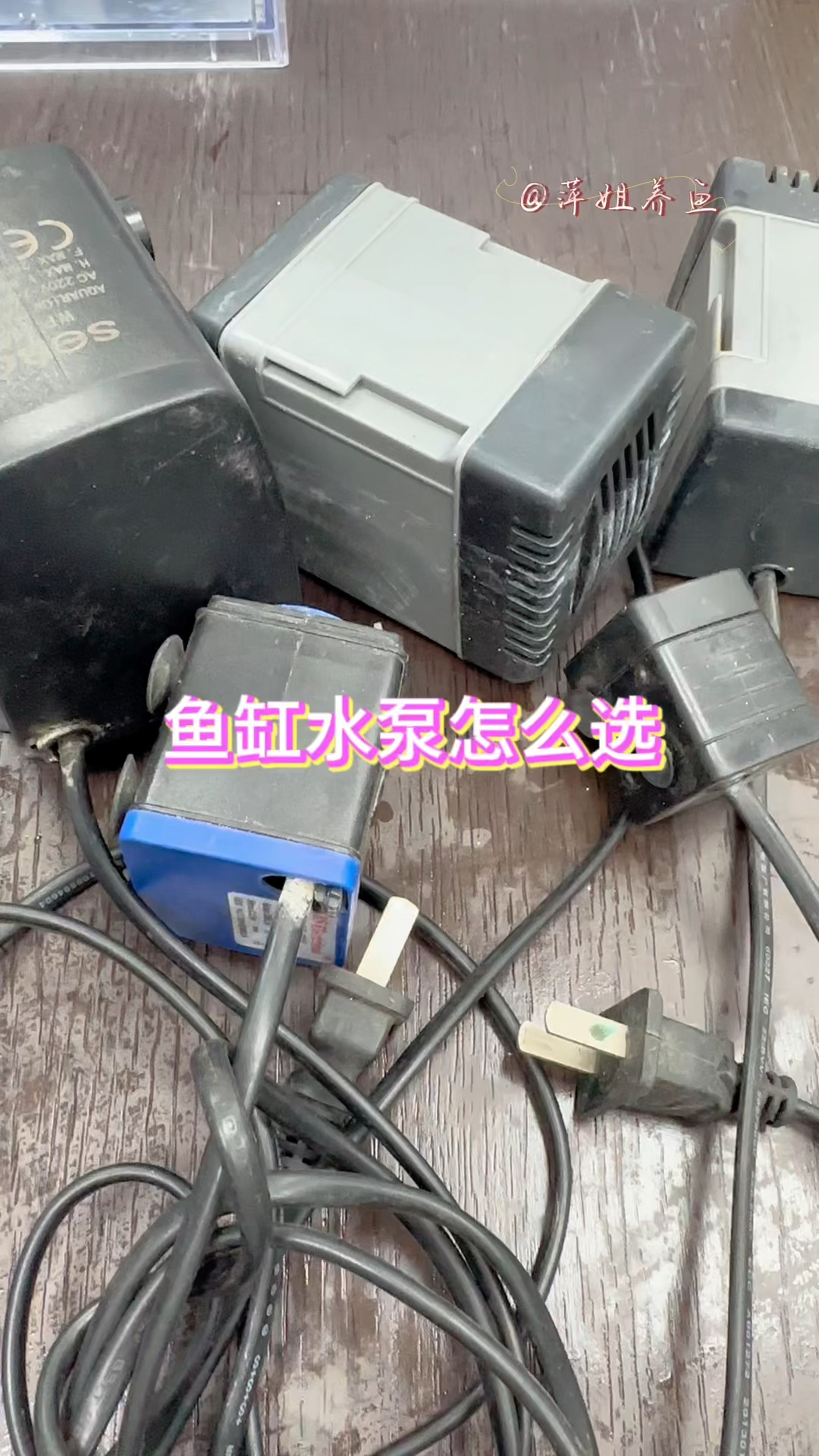 鱼友们,鱼缸抽水泵有很多种,你是怎么选抽水泵的呢#水族 #鱼缸里的大自然 #养鱼日记