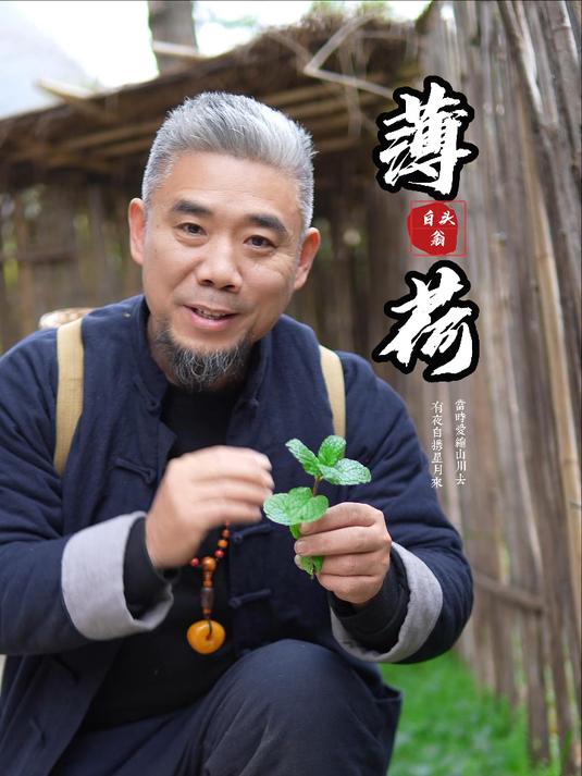房前屋后寻草 薄荷，你吃过吗？