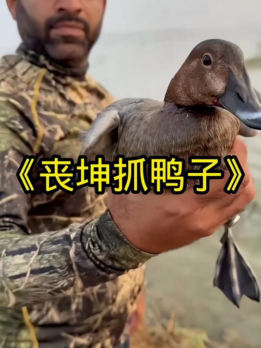 丧坤要将河里的鸭子抓住,这只鸭子已经飞不高了,游泳速度还很快