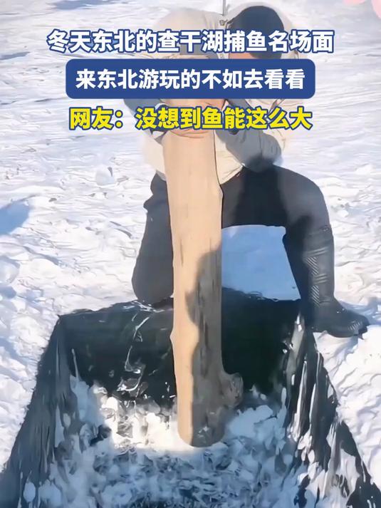 冬天东北的查干湖捕鱼名场面,来东北游玩的不如去看看
