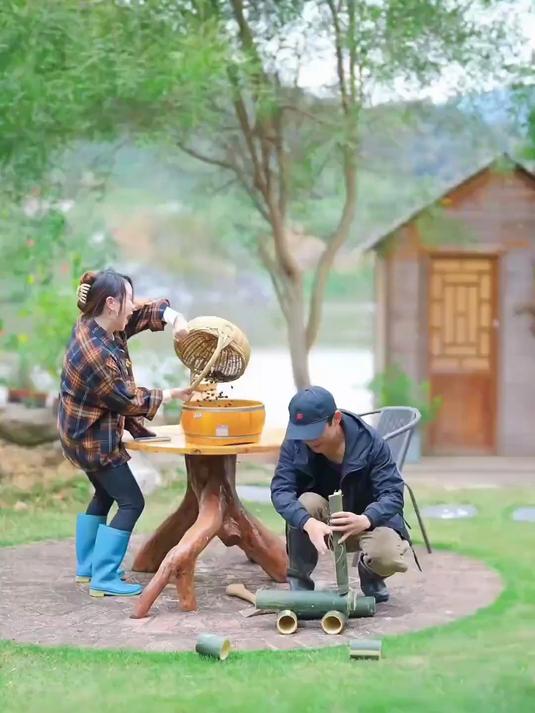 小夕在河边发现各种各样的寄居蟹,真是太漂亮了