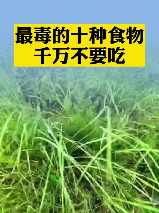 厨房收纳别忘用蔬菜收纳筐!蔬菜分类放更易拿超实用