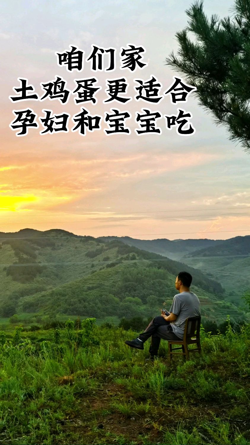 三农,生态土鸡蛋,咱们家的土鸡蛋更适合孕妇和宝宝们吃