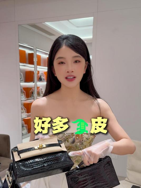 皮大合集#奢选陈辰##爱马仕鳄鱼皮##爱马仕##爱马仕Kelly#