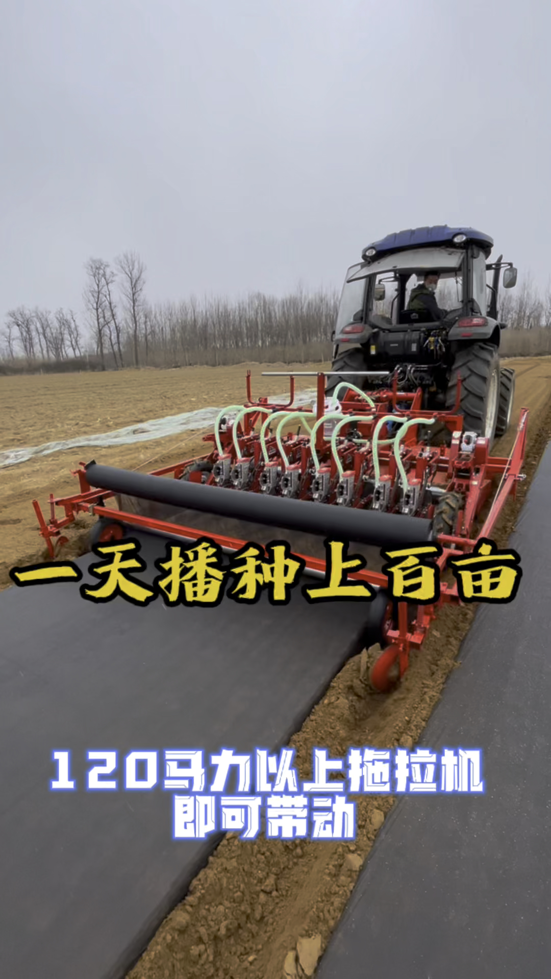 好气吸蔬菜播种机,一台能顶20人工,效率提升百分百