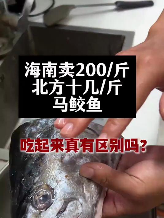 海南200一斤马鲛鱼真的比北方十几块的鲅鱼好吃吗？