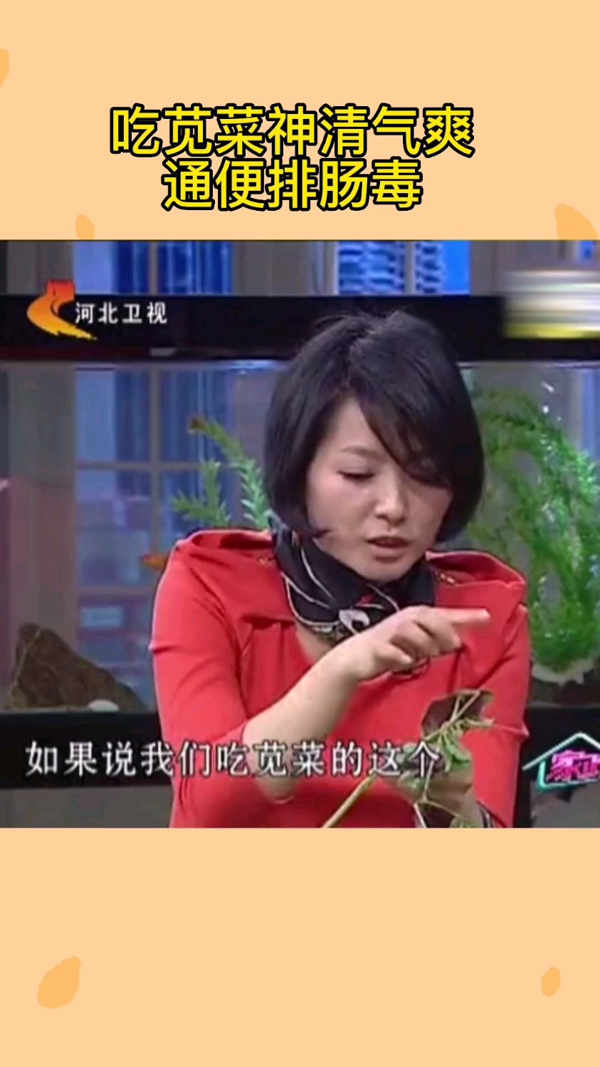 原来吃苋菜 神清气爽 通便排肠 涨知识!