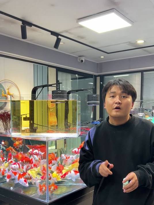 鱼缸水浑又黄?用这净水片,一晚还你清水靓鱼