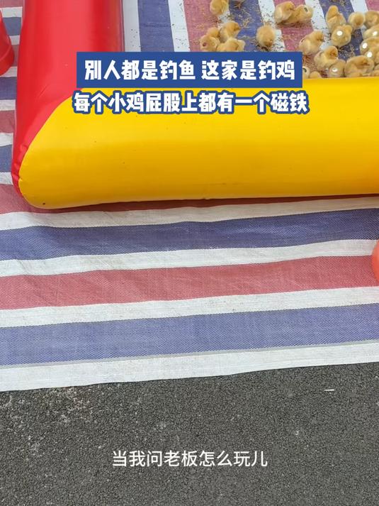 别人都是钓鱼,这家是钓鸡,每个小鸡屁股上都有一个磁铁