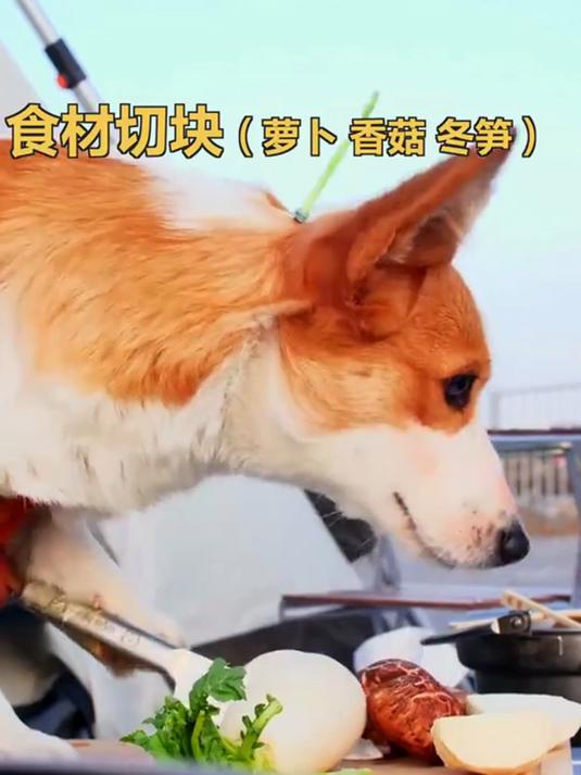修勾沉浸式给奶奶做关东煮