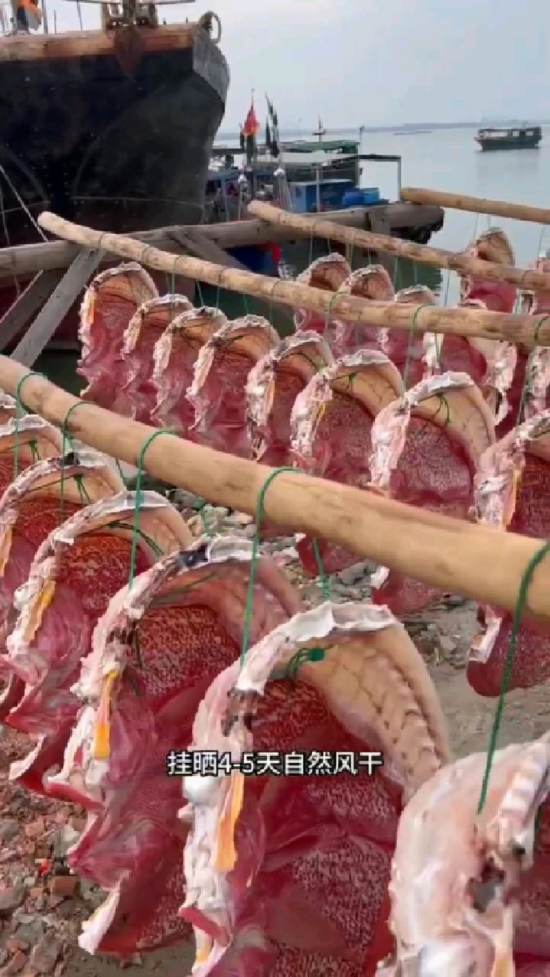 海南儋州特色美食“红鱼干”