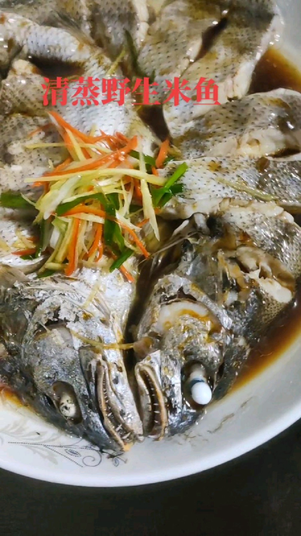 住在海边就是好,清蒸野生米鱼,你吃过吗?