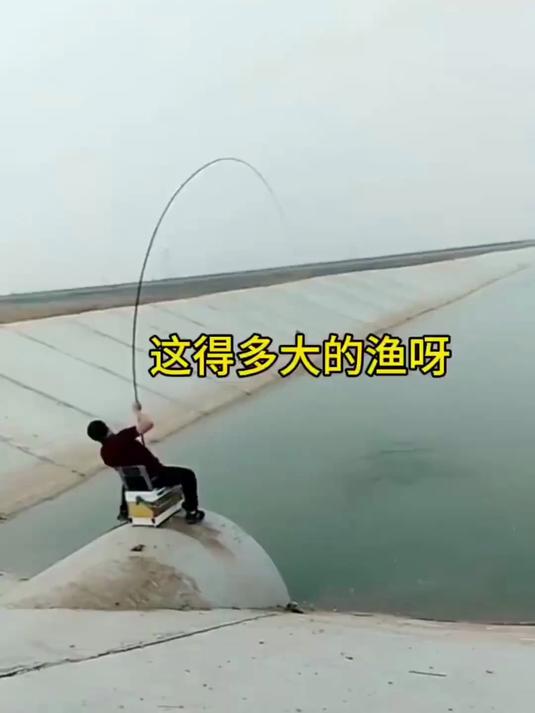 鱼竿鲫鱼鲤鱼手竿超轻37调溪流竿水库溪钓竿腰力钓鱼杆