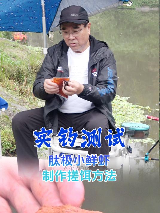 新品实钓:肽极小鲜虾,制作搓饵方法