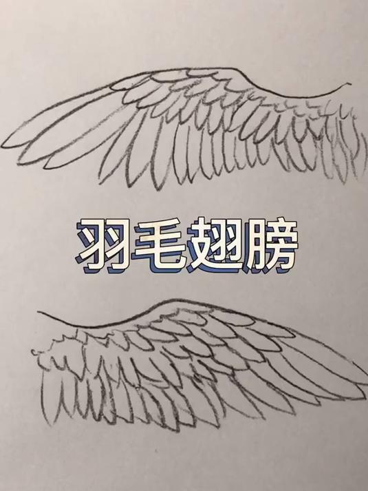 羽毛翅膀
