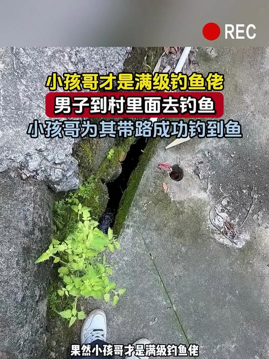 小孩哥才是满级钓鱼佬，男子到村里面去钓鱼，小孩哥为其带路成功钓到鱼