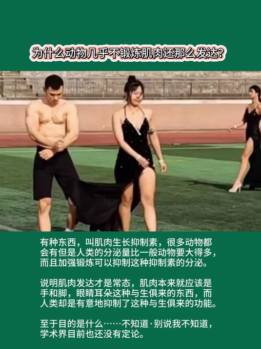 为什么动物几乎不锻炼肌肉还那么发达?