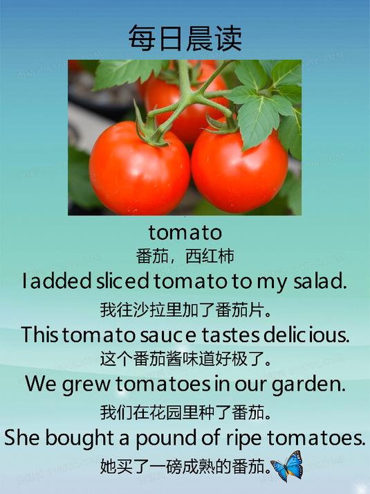每日晨读_小学英语_tomato
