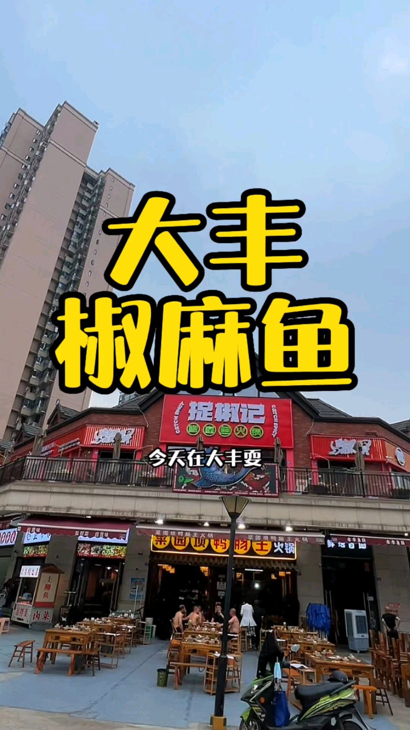 大丰好吃的双椒鱼