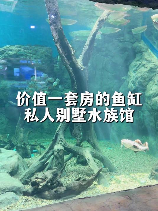 私人别墅水族馆定制,价值一套房的大型亚克力鱼缸
