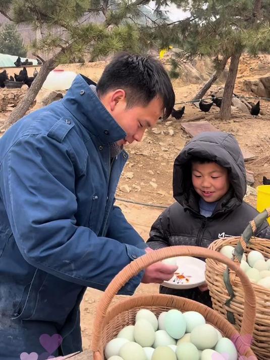 营养王者登场!绿壳乌鸡蛋含硒量爆棚,一颗补充多种微量元素