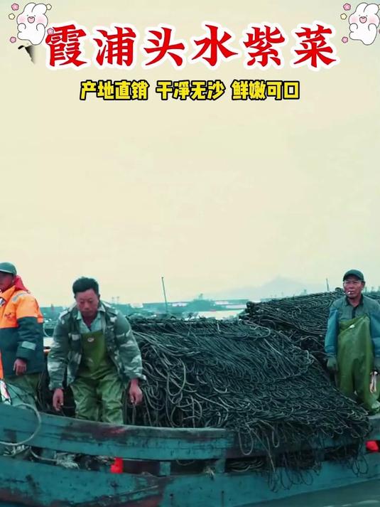 妈妈的厨房私藏：头茬紫菜做的海鲜汤，是记忆里的家鲜味