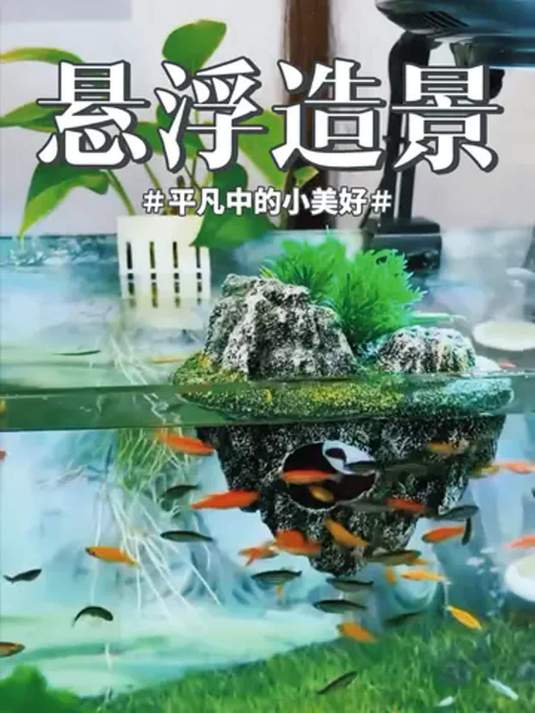 鱼缸仿真悬浮造景石 新奇有趣 打造舒适景观