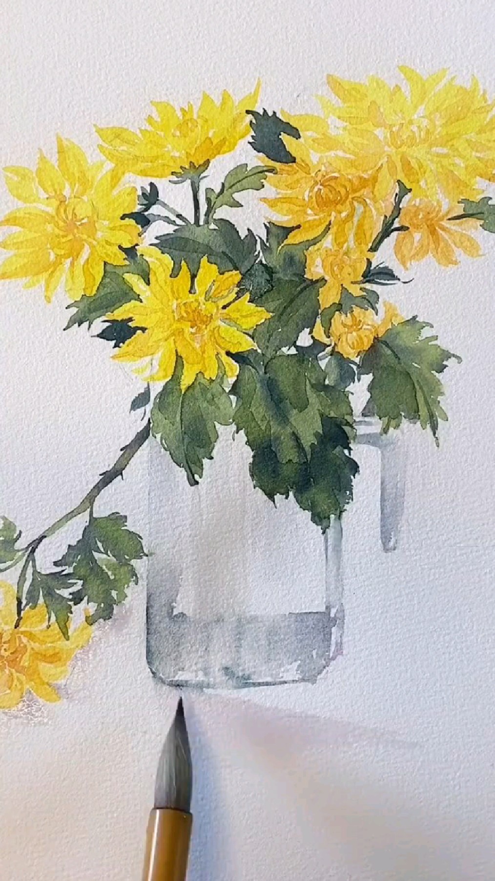 水彩花卉菊花画法