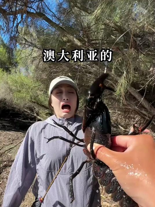据说，这是世界上最大的小龙虾品种