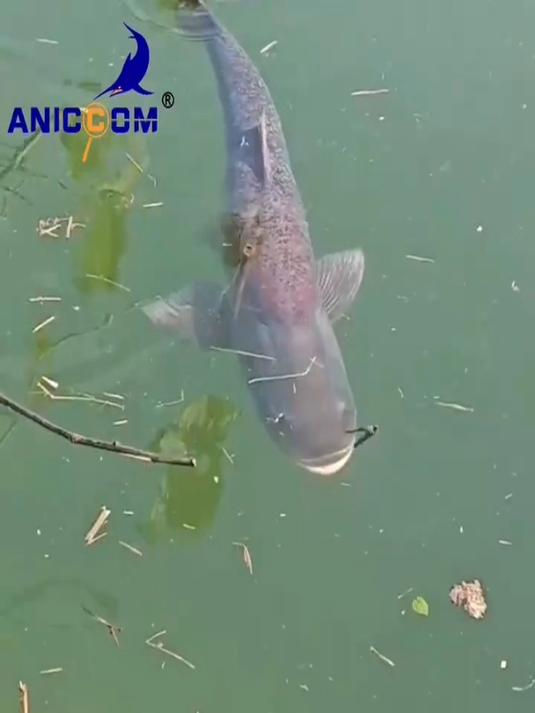 艾尼可超声波诱鱼器