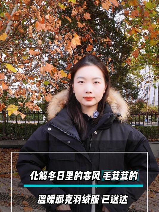 鹅铠甲 丨 这个冬天就穿派克服啦