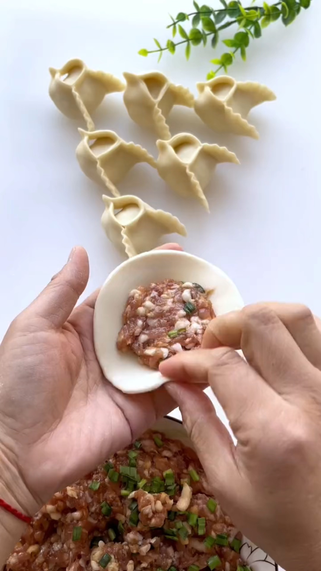 小燕子饺子包法