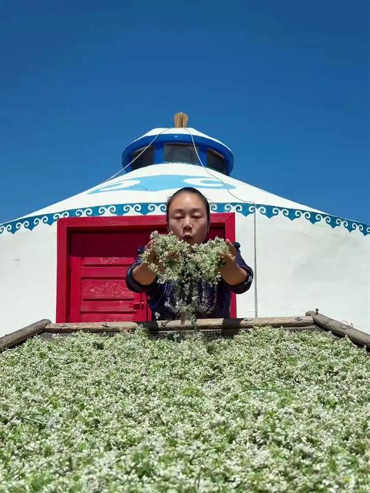 韭菜花酱的浓郁鲜香，闻着就有食欲