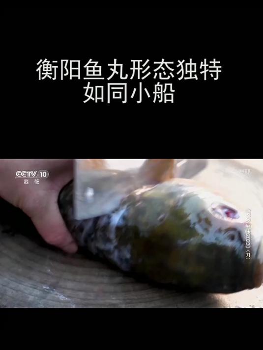 衡阳鱼丸形态独特 如同小船