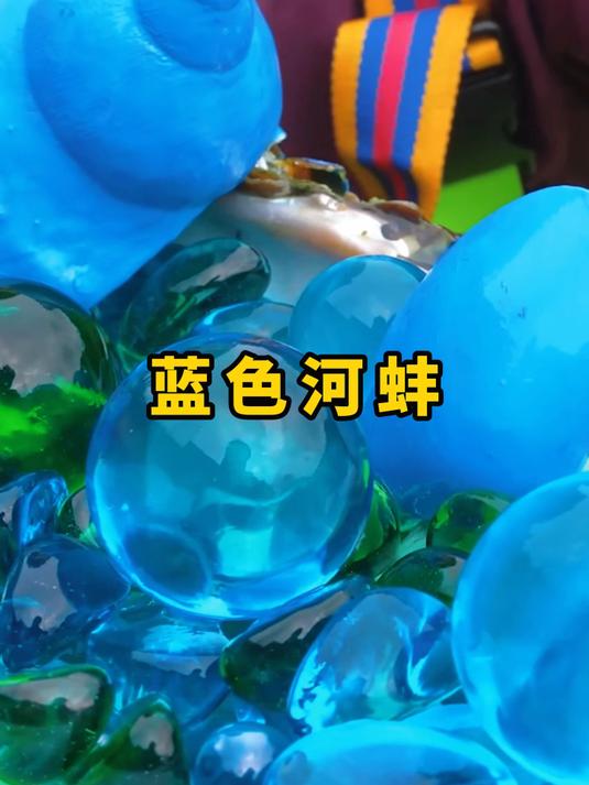 捡到了蓝色的河蚌,没想到蚌肉里还有小河蚌