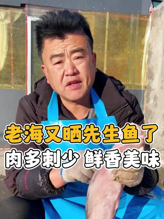 老海又给大家晒新一批的先生鱼啦,咱家都是淡干的六成干左右的