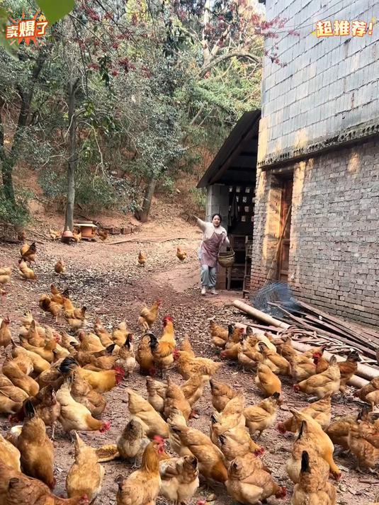 土鸡蛋吃过一次就会爱上的。#小李在农村_#散养土鸡蛋