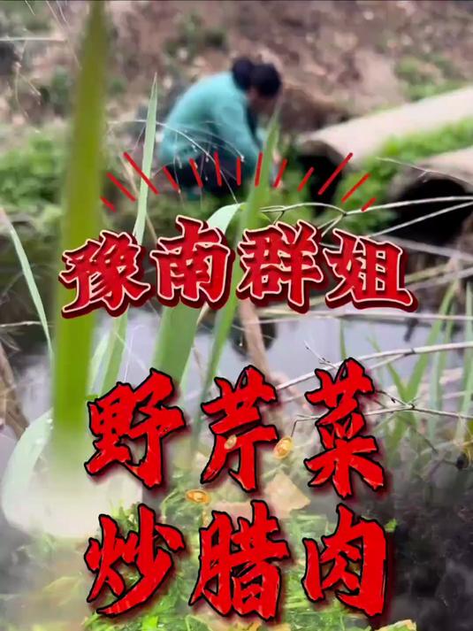 群姐带你了解豫南风土人情和美食，野芹菜炒腊肉