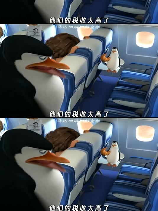 概念神还是稳定发挥