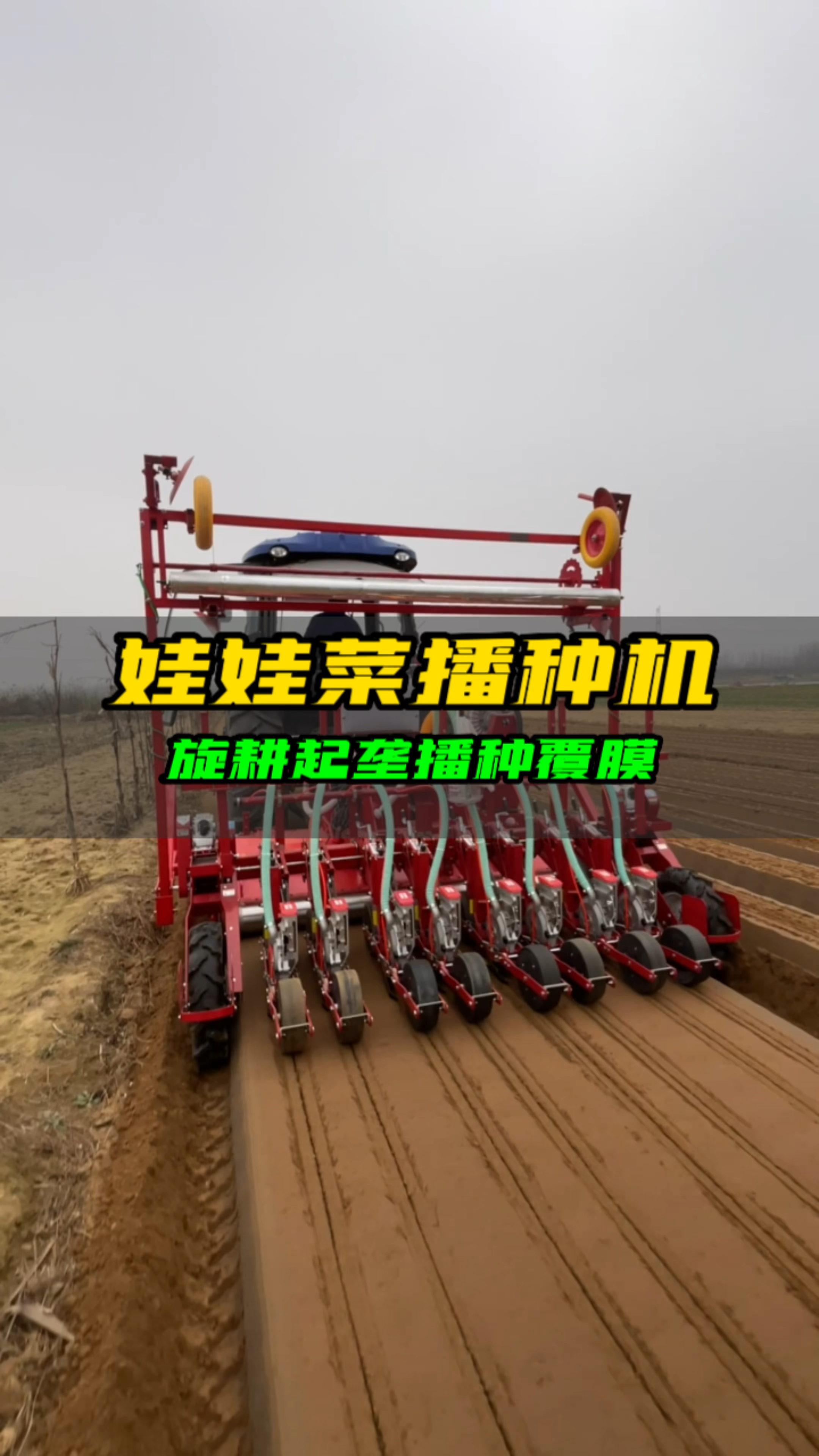 娃娃菜播种机旋耕起垄播种覆膜一次完成