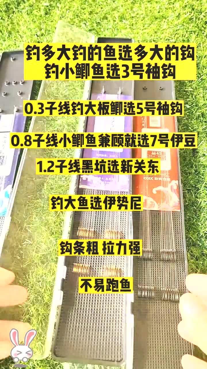 鱼钩这样选,你也是老钓手了……