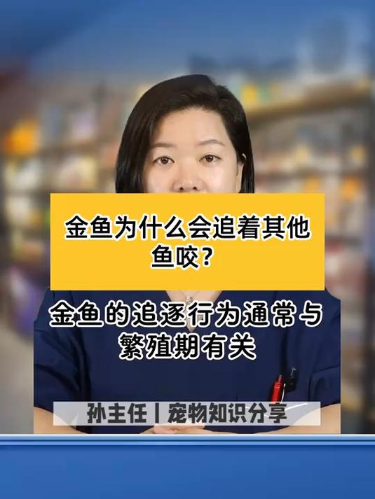 金鱼为什么会追着其他鱼咬？