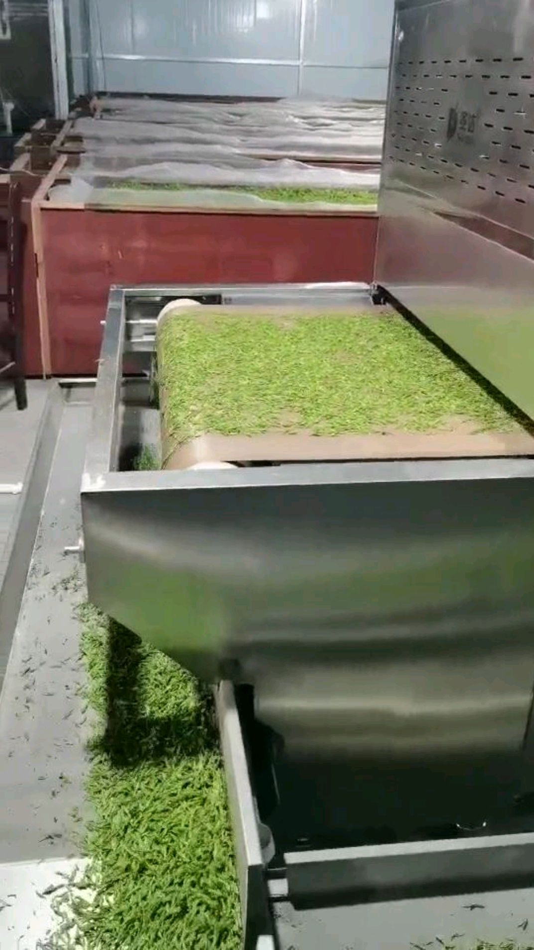 芽茶加工设备微波茶叶杀青机理条机炒青机