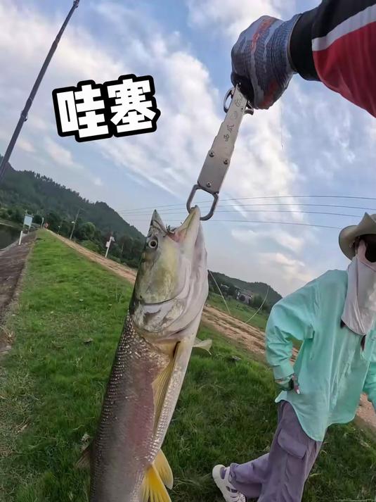 远赴江西钓获米级大鳡鱼,今天是过瘾了!