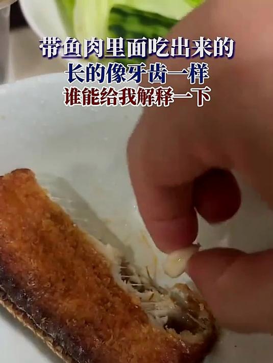 带鱼肉里面吃出来的,长的像牙齿一样,谁能给我解释一下