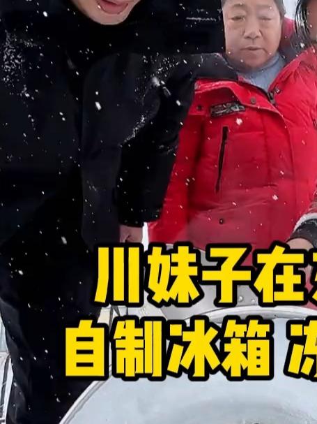 自制大冰箱申请出战 南方媳妇在东北杀鸡宰鹅存冻货的一天