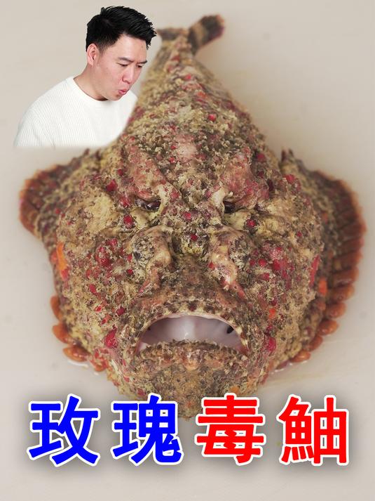又毒又丑的鱼是真的好吃啊!