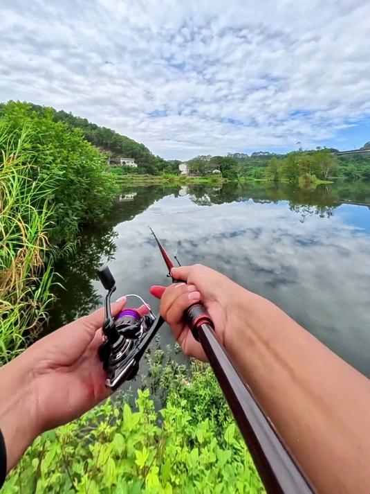 长竿钓鱼也能把窝米直接做到水底，节省窝米、聚鱼集中